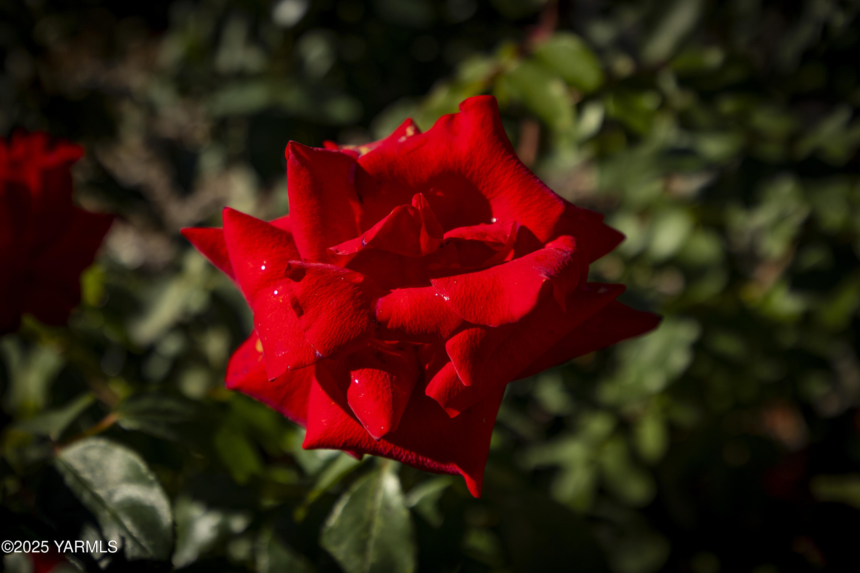 22207 West Gerrick Road Benton City, WA 99320 - Photo 52 of 60 22207 Gerrick Road 10.27.25 54