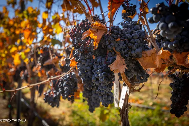 $899,900 | 22207 West Gerrick Road, Benton City, WA 99320