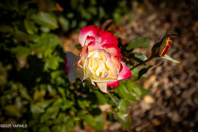 $899,900 | 22207 West Gerrick Road, Benton City, WA 99320