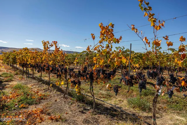 $899,900 | 22207 West Gerrick Road, Benton City, WA 99320