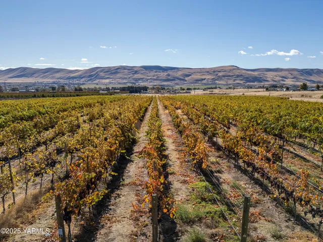 a view of an ocean and beach