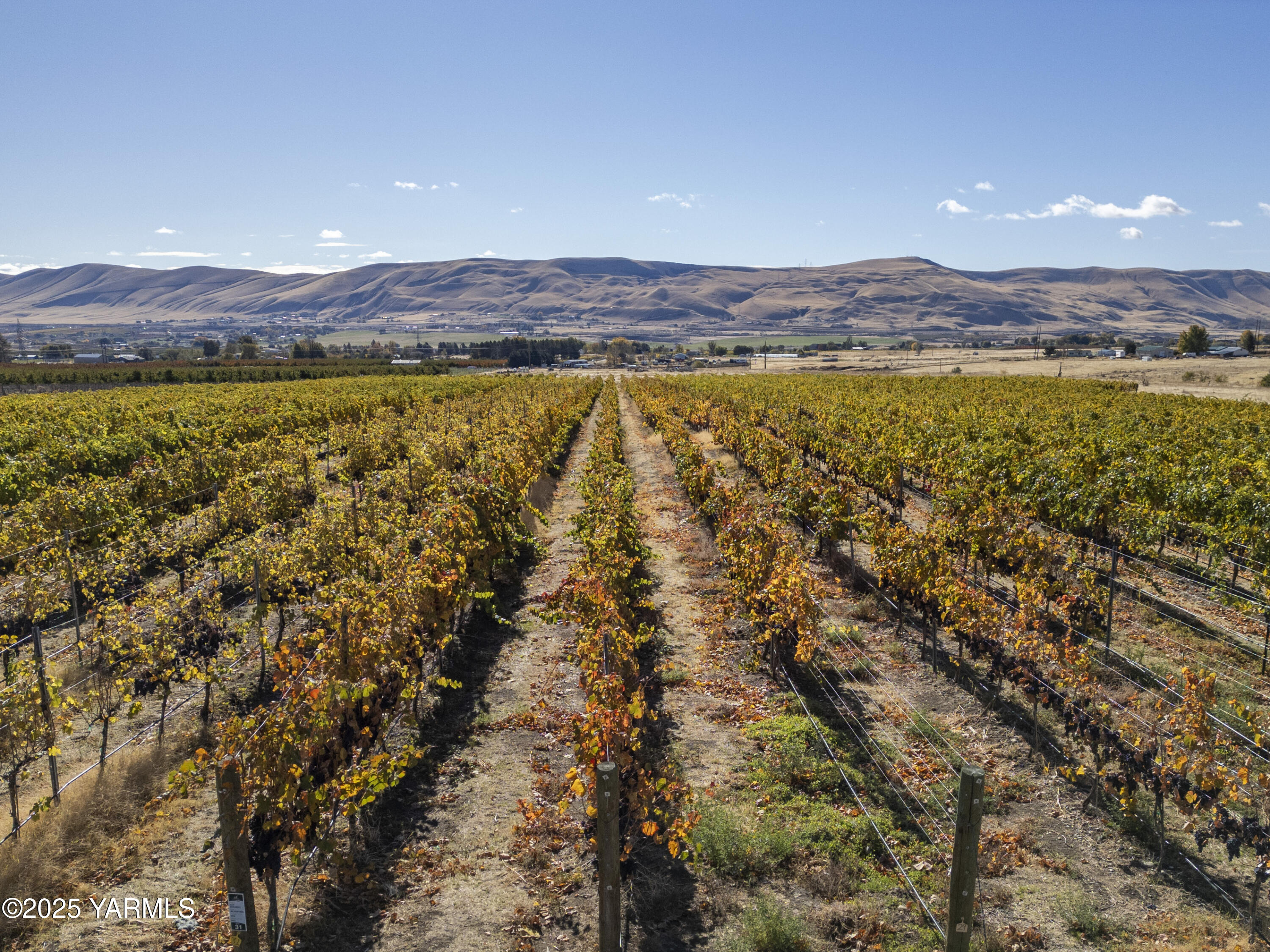 22207 West Gerrick Road Benton City, WA 99320 - Photo 9 of 60 22207 Gerrick Road 10.27.25 6