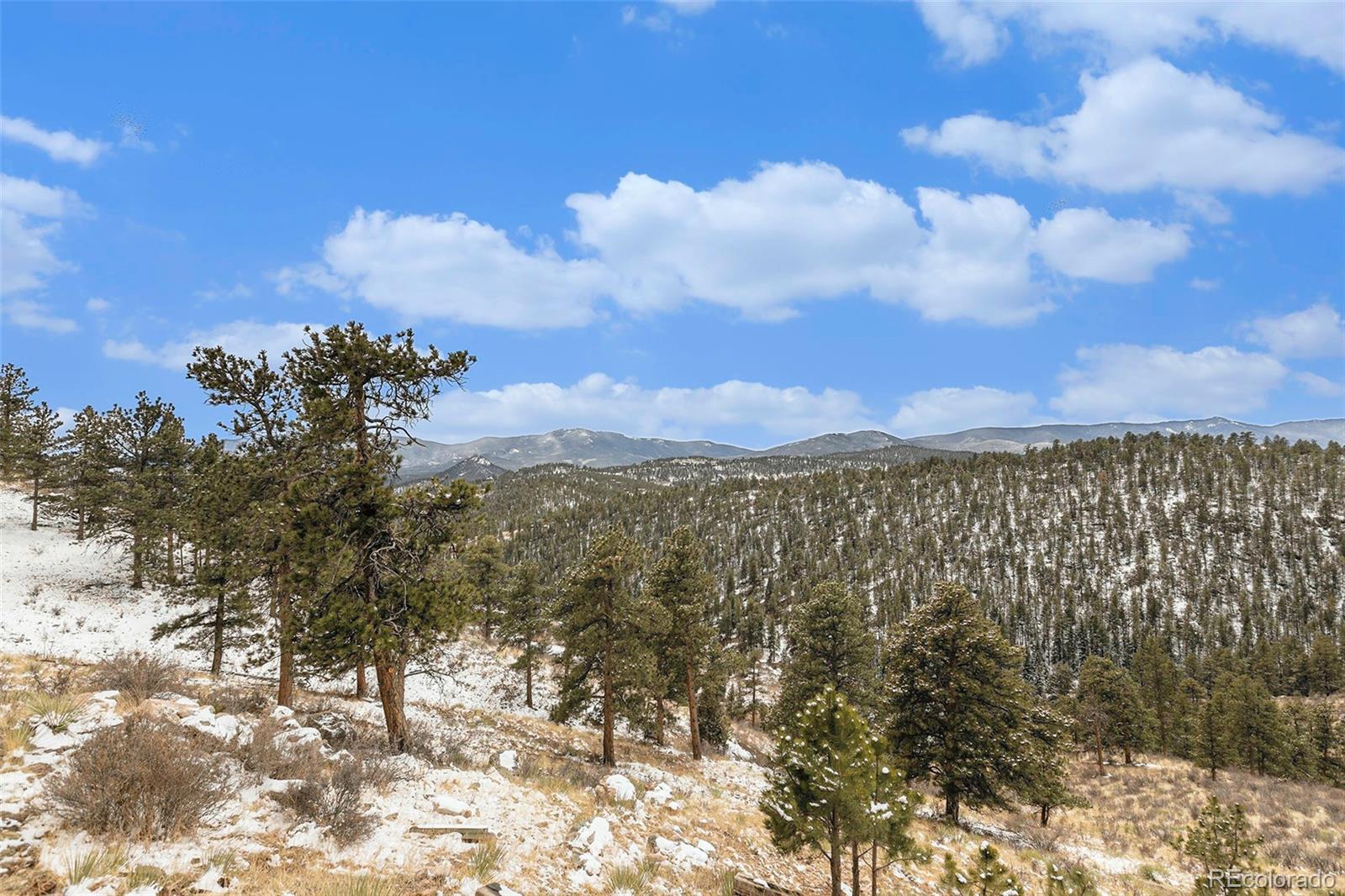 299 Long Ridge Drive Bailey, CO 80421 - Photo 27 of 27