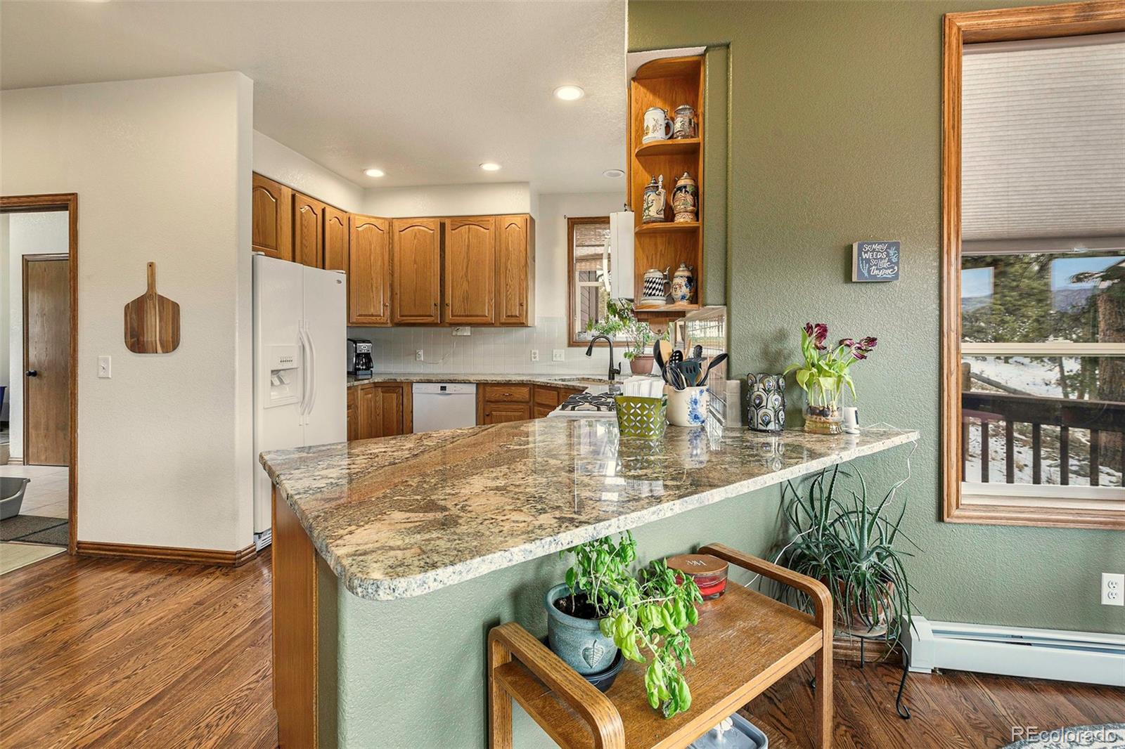 299 Long Ridge Drive Bailey, CO 80421 - Photo 4 of 27