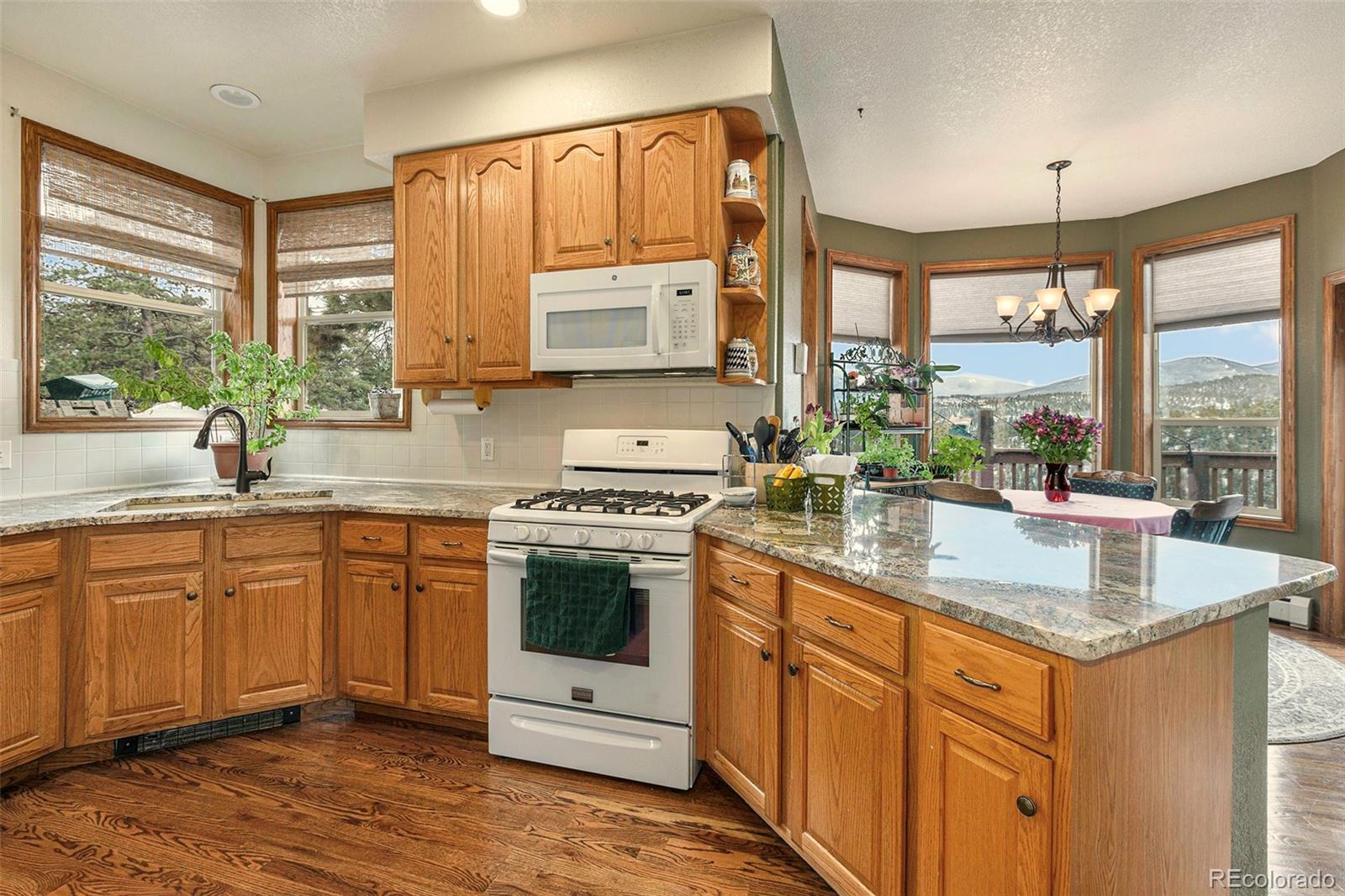 299 Long Ridge Drive Bailey, CO 80421 - Photo 6 of 27