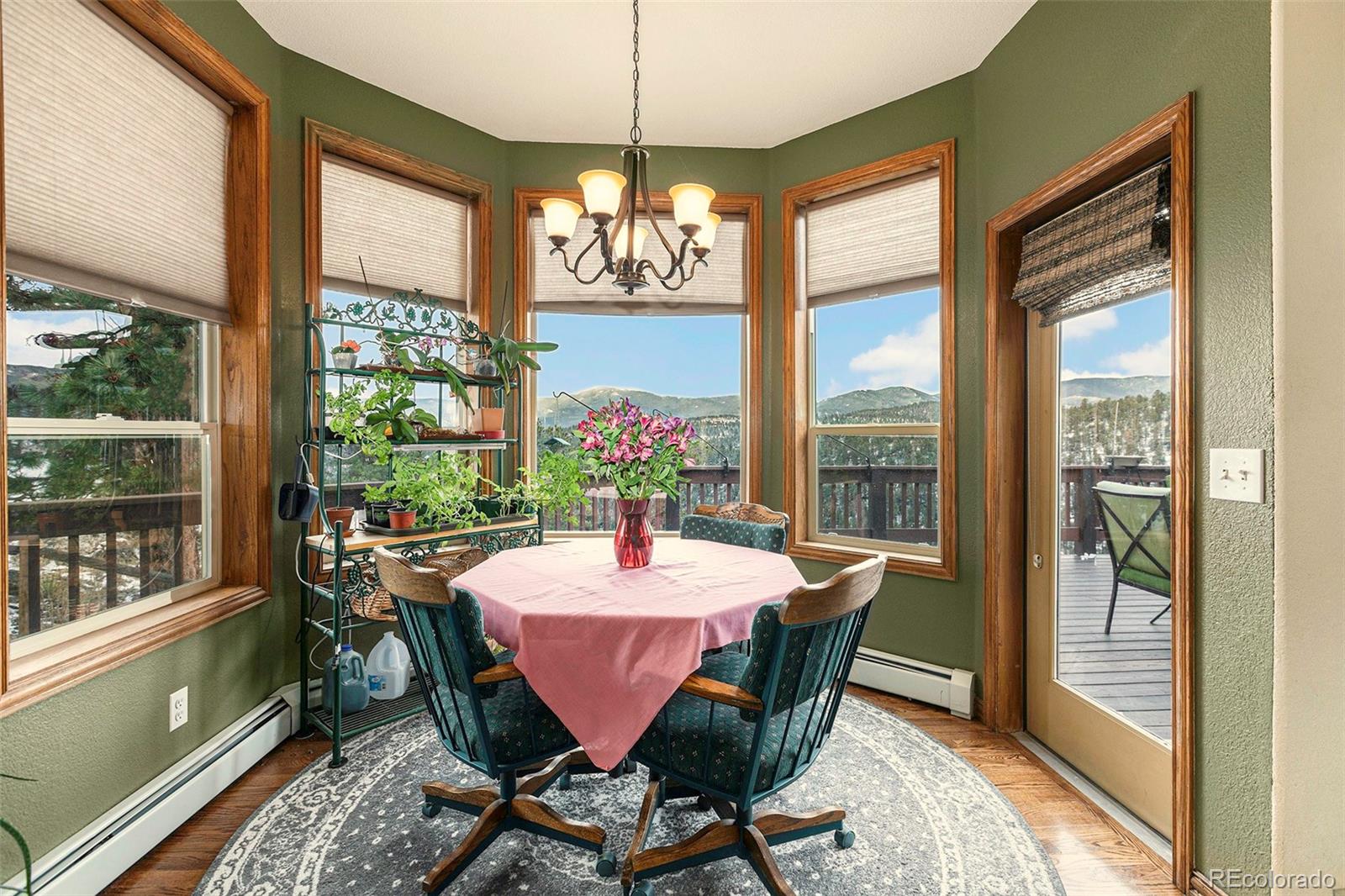 299 Long Ridge Drive Bailey, CO 80421 - Photo 7 of 27