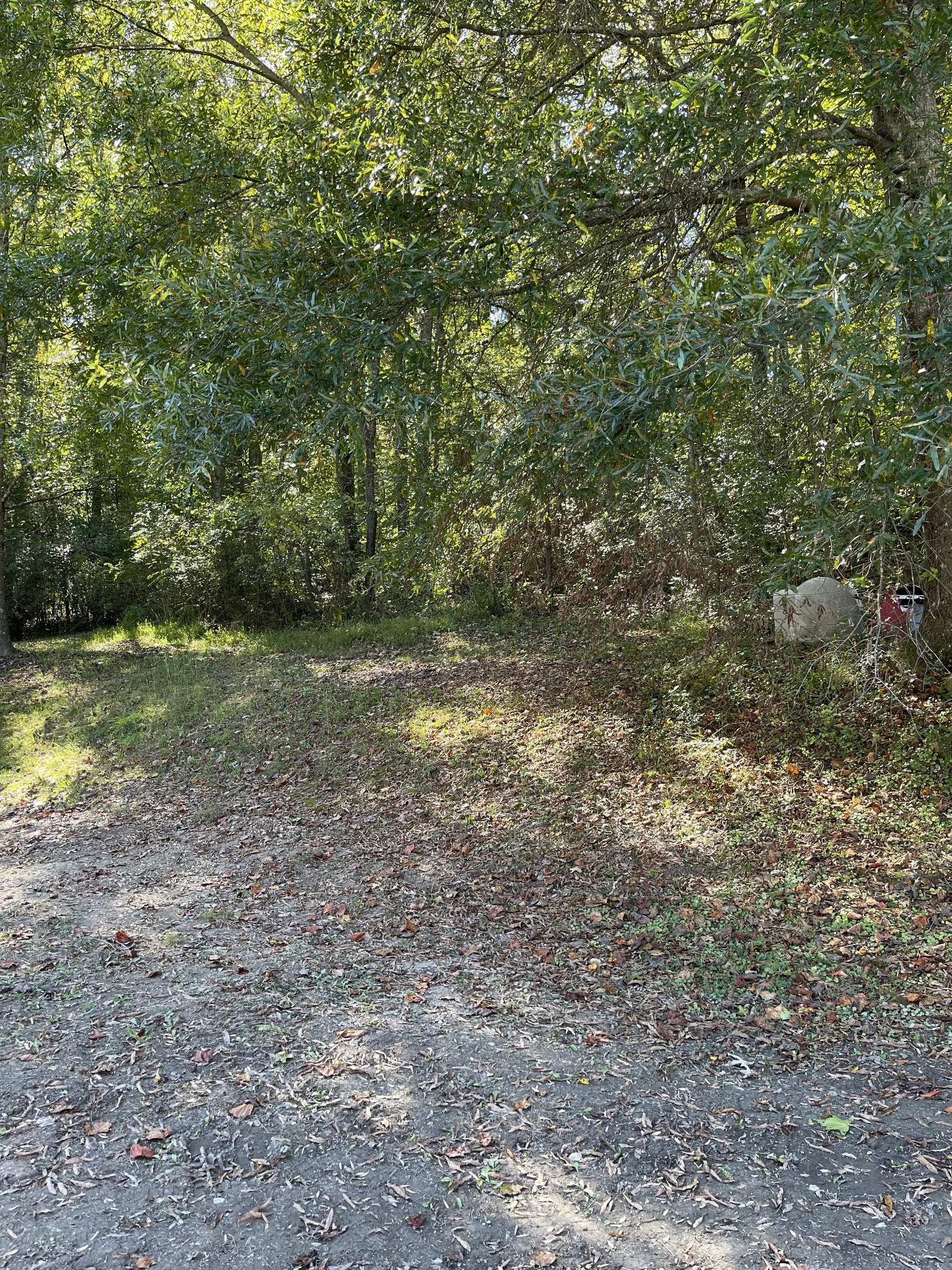 3221 Normandy Road Normandy, TN 37360 - Photo 12 of 36 a view of a field with trees in background