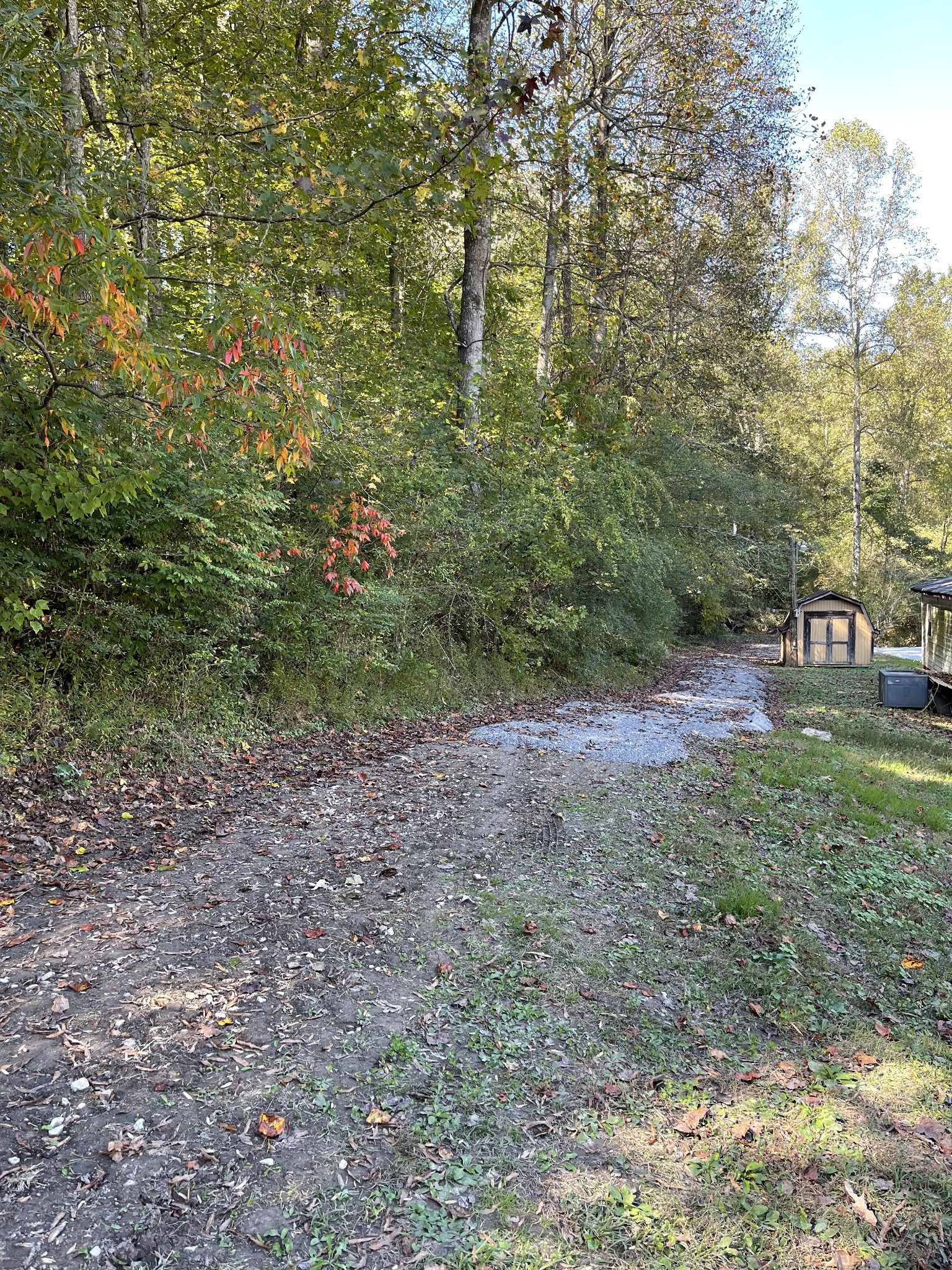 3221 Normandy Road Normandy, TN 37360 - Photo 15 of 36 a view of a forest with trees in the background
