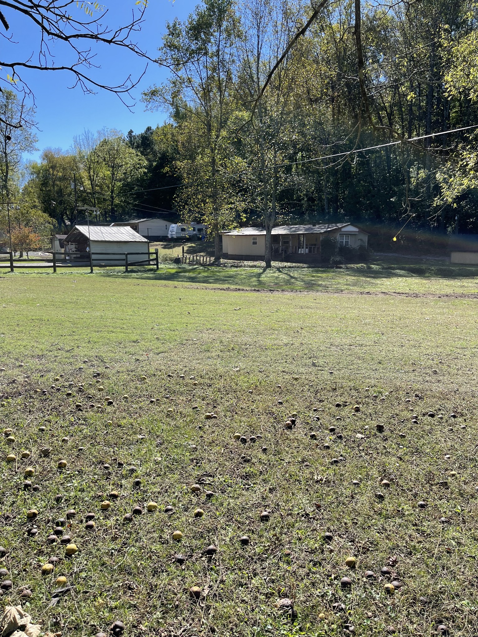 3221 Normandy Road Normandy, TN 37360 - Photo 19 of 36 a view of a yard with a bench