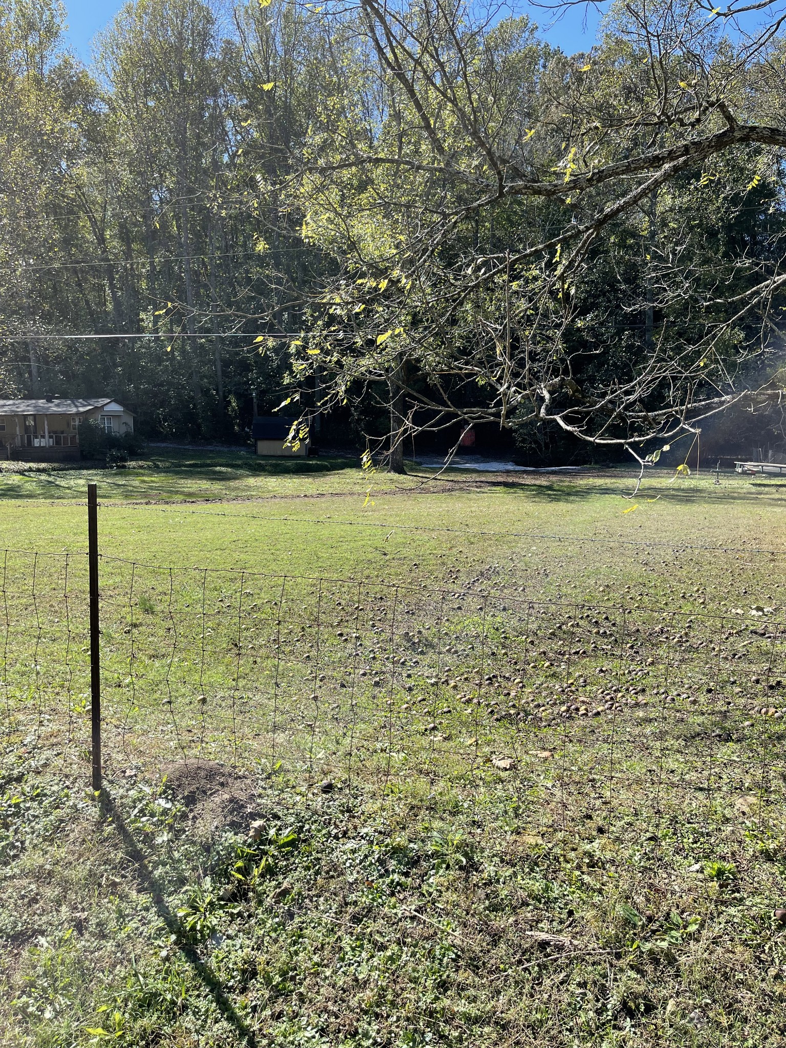 3221 Normandy Road Normandy, TN 37360 - Photo 23 of 36 a view of a yard