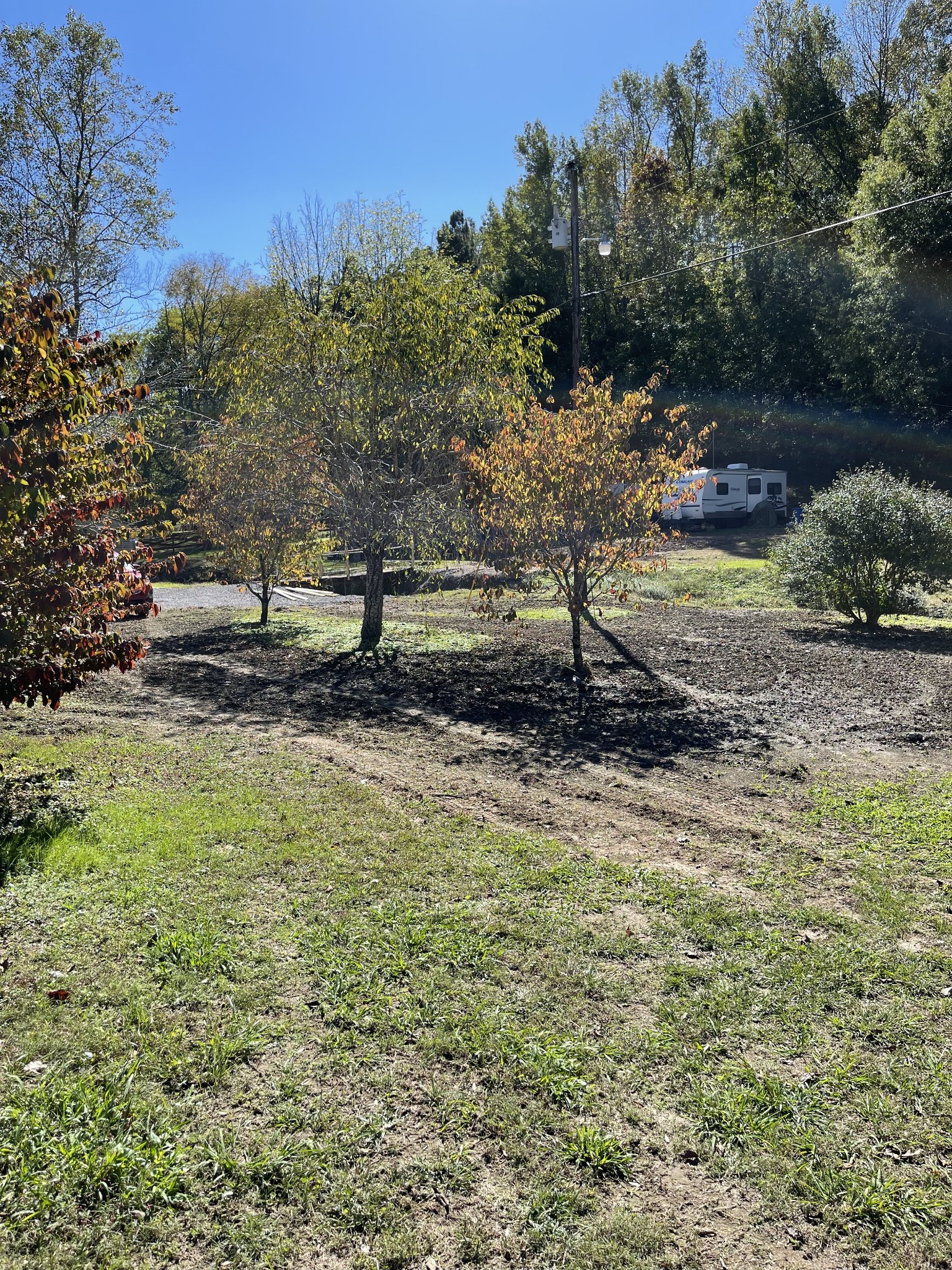 3221 Normandy Road Normandy, TN 37360 - Photo 26 of 36 a view of a park with large trees
