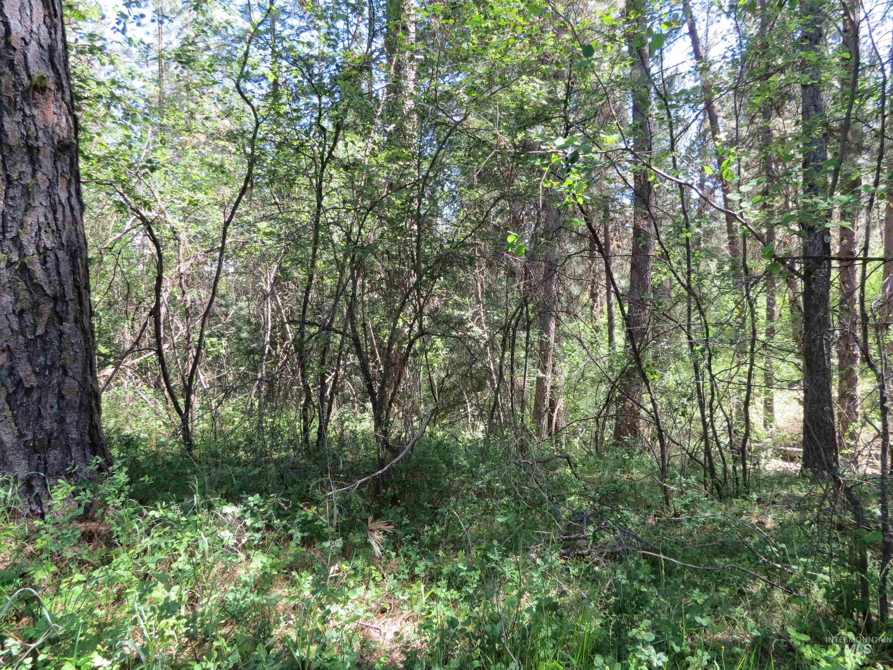 Parcel C Caseys Road Garden Valley, ID 83622 - Photo 5 of 20