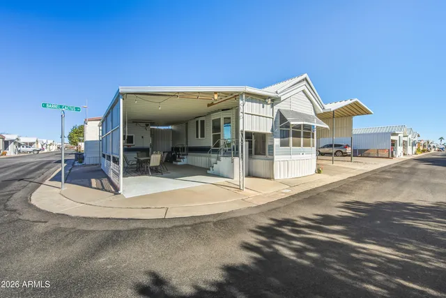 a view of a dry yard with trees and plants