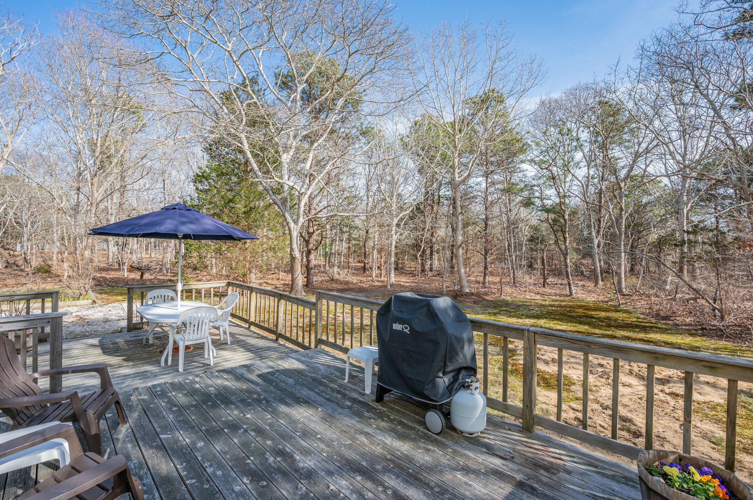 55 Bow Road Eastham, MA 02642 - Photo 34 of 44 a view of backyard with outdoor seating and trees