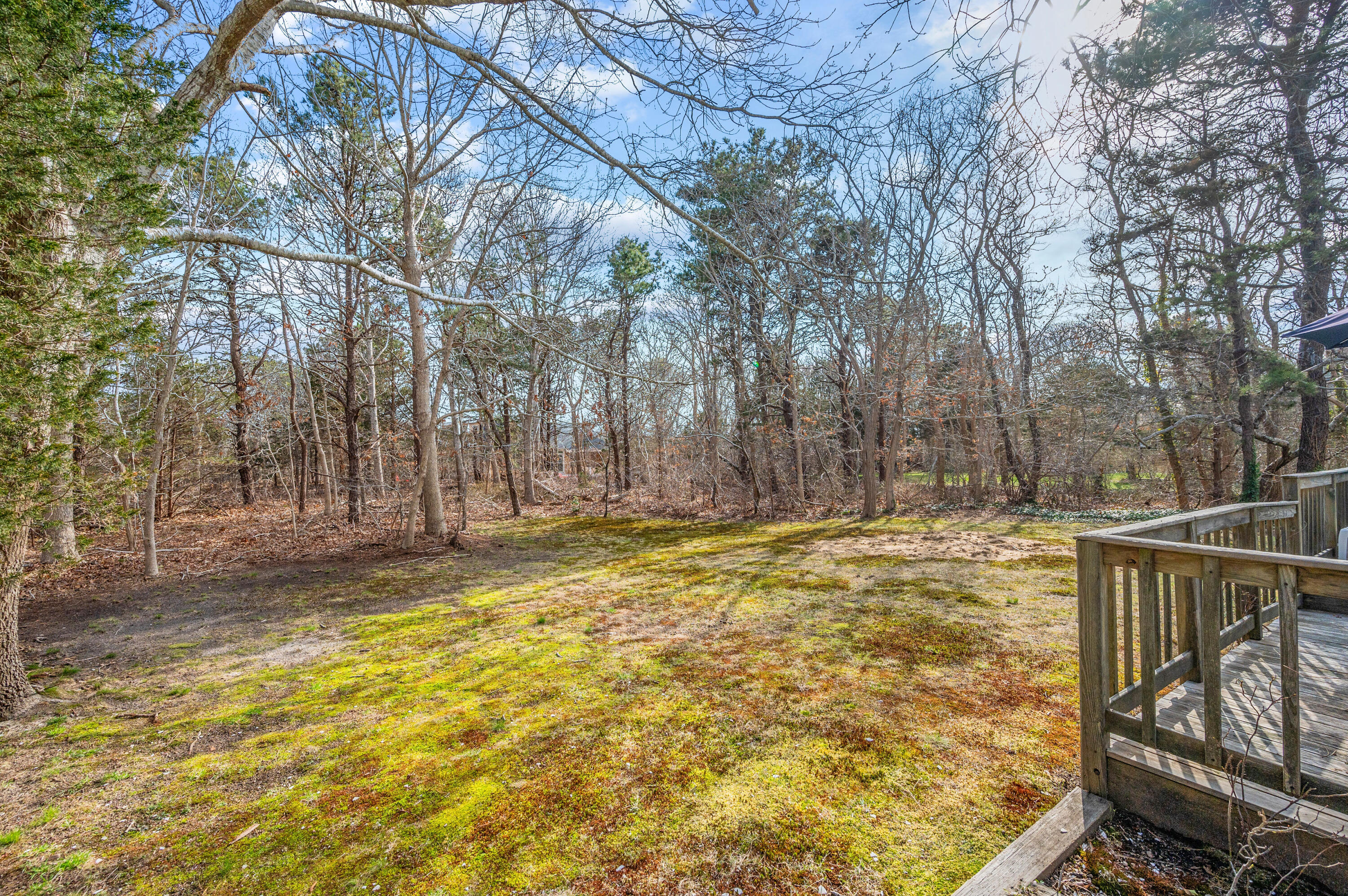 55 Bow Road Eastham, MA 02642 - Photo 37 of 44 a view of a backyard with large trees