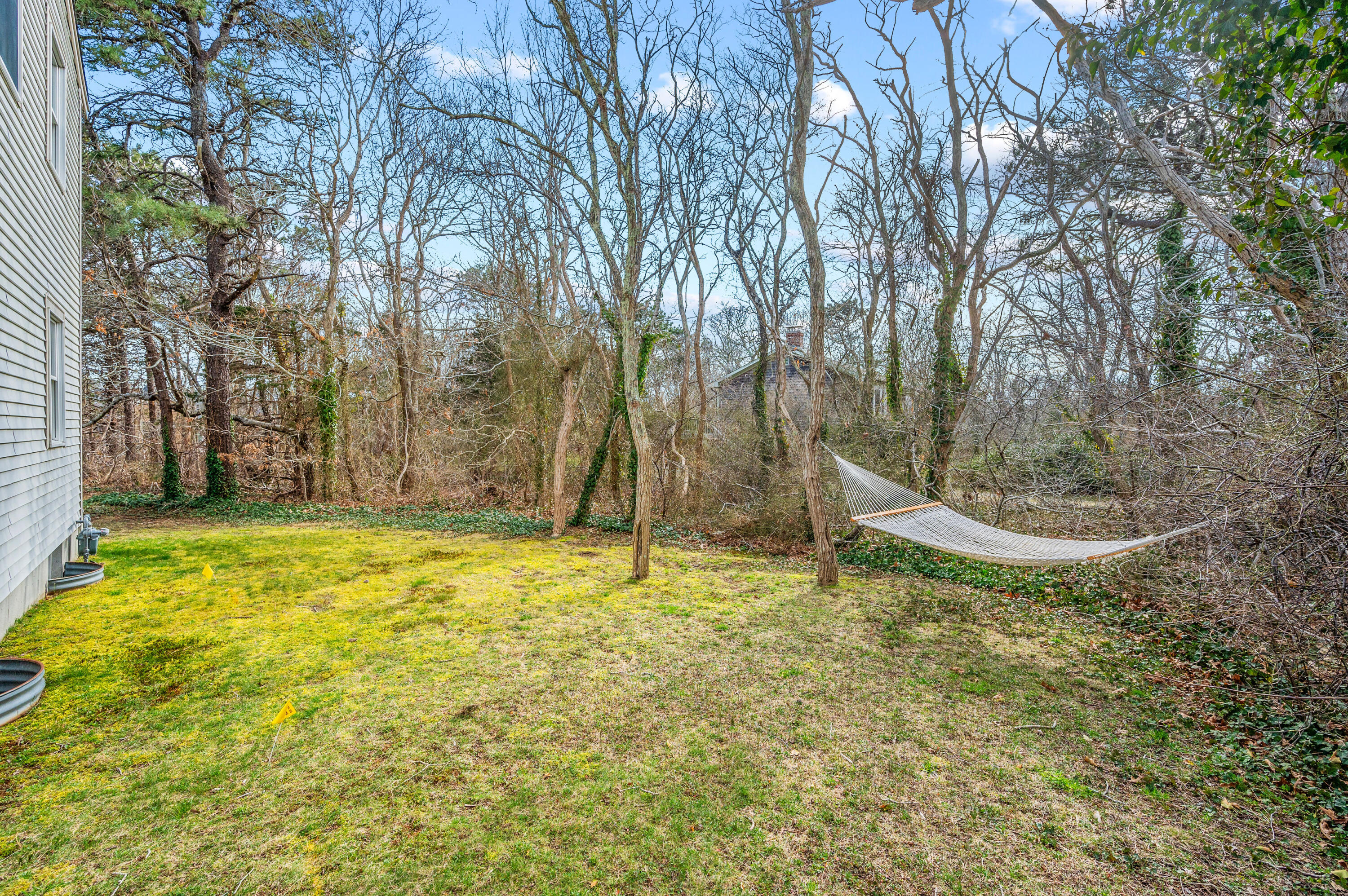 55 Bow Road Eastham, MA 02642 - Photo 41 of 44 a view of a backyard with large trees