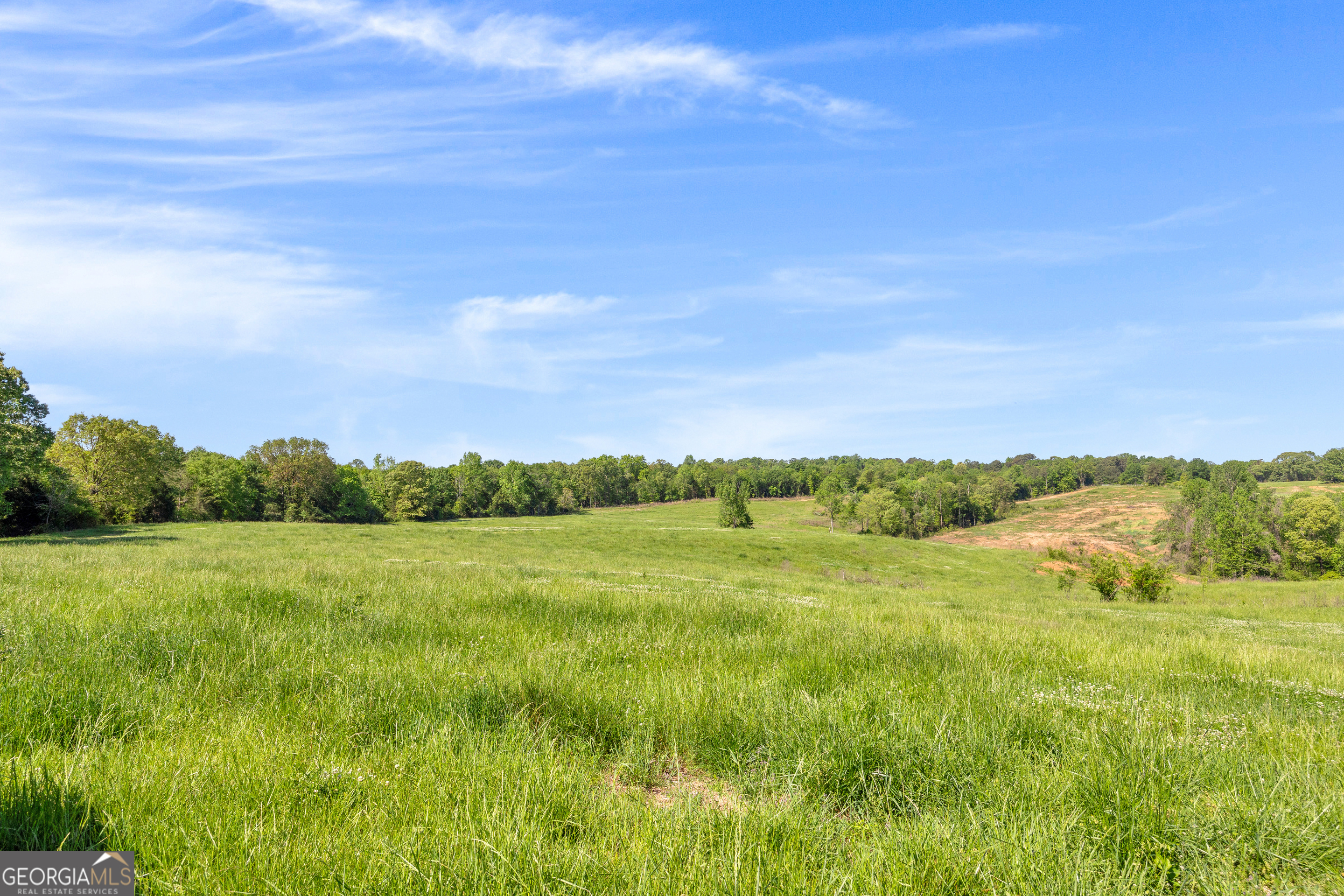 964 Gooseneck Road Toccoa, GA 30577 - Photo 11 of 31 a view of an outdoor space and a yard