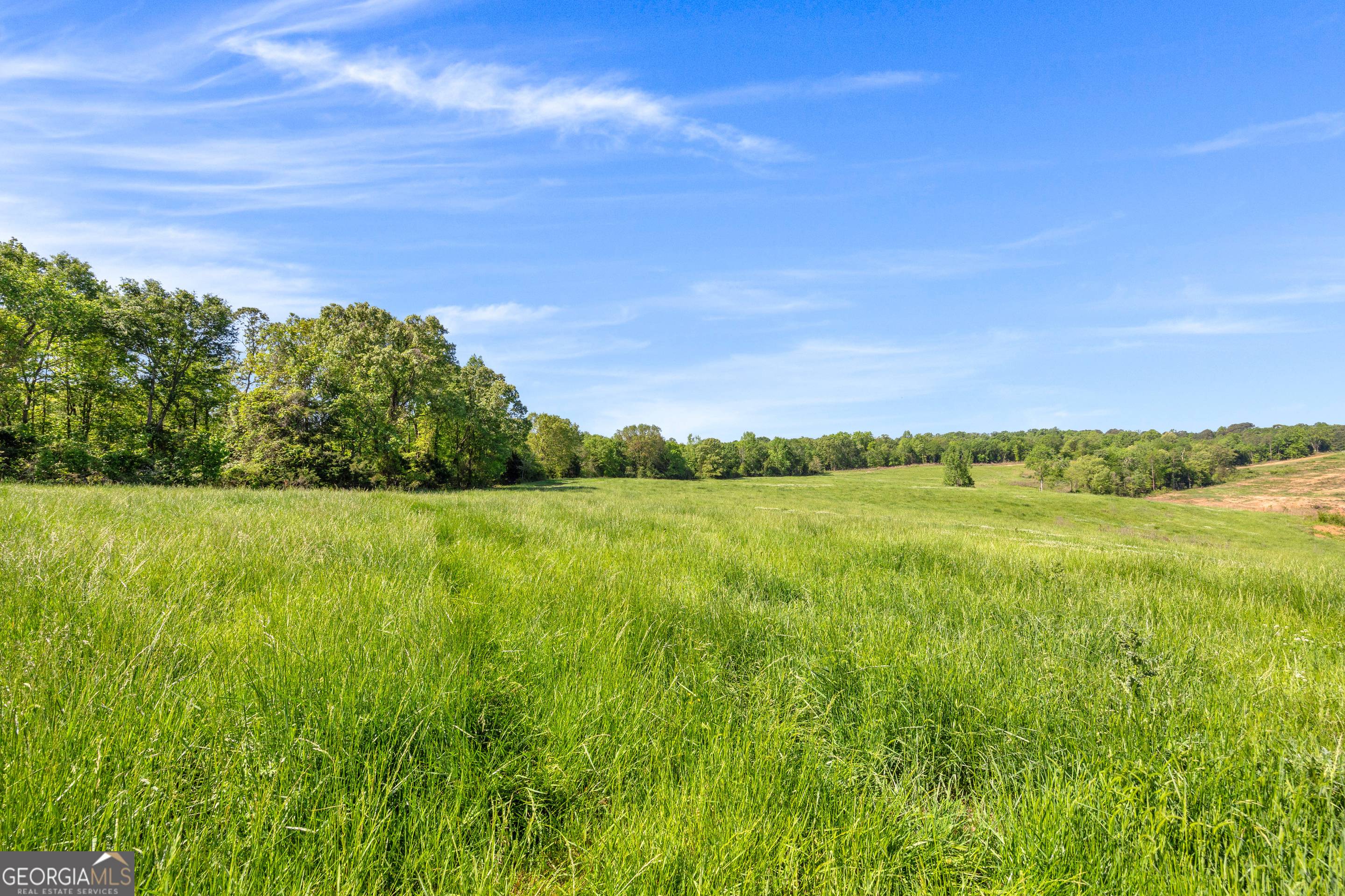 964 Gooseneck Road Toccoa, GA 30577 - Photo 12 of 31 a view of a green field with an ocean view