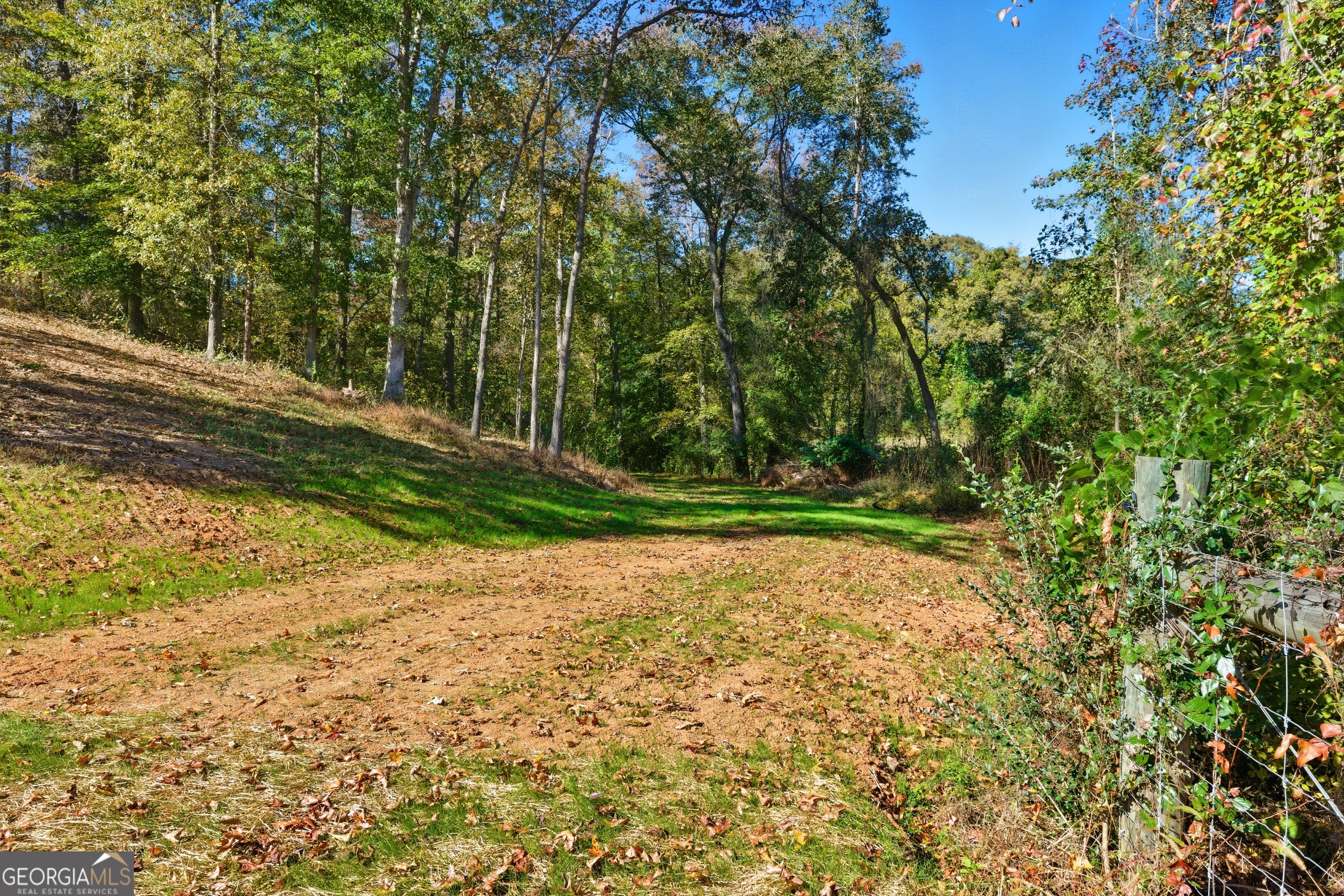 964 Gooseneck Road Toccoa, GA 30577 - Photo 20 of 31 a view of a yard with plants and trees