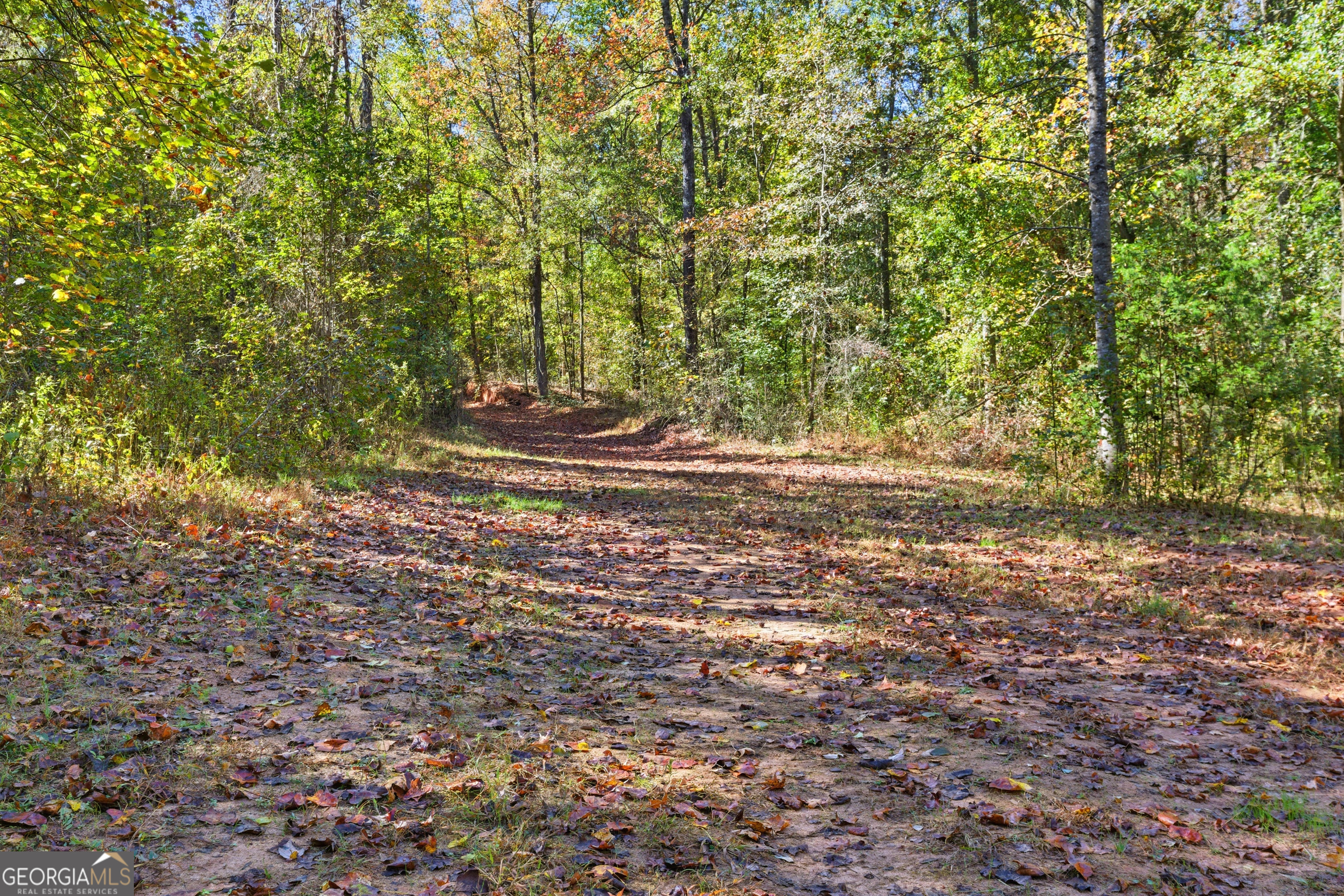 964 Gooseneck Road Toccoa, GA 30577 - Photo 23 of 31 a view of a yard with a trees