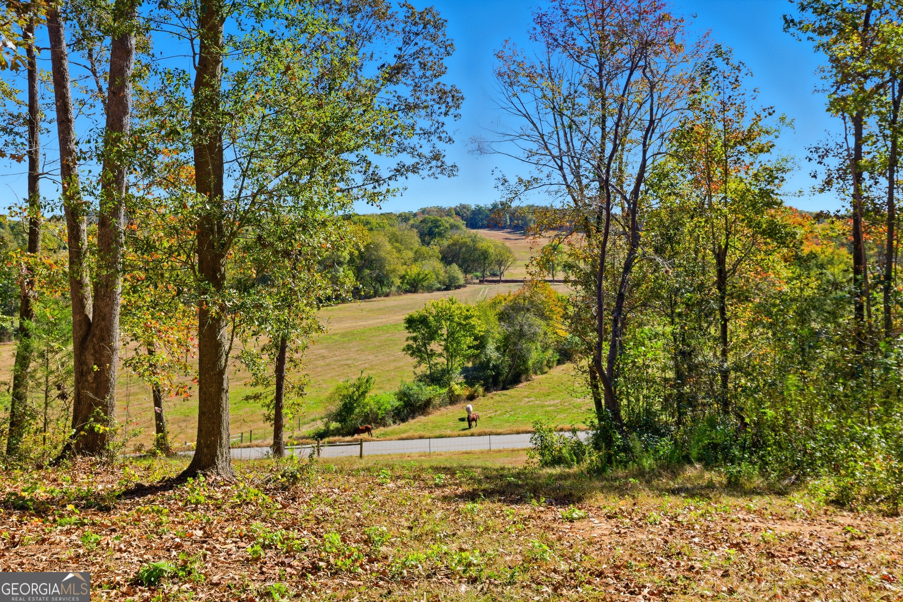 964 Gooseneck Road Toccoa, GA 30577 - Photo 30 of 31 a view of a yard with an trees