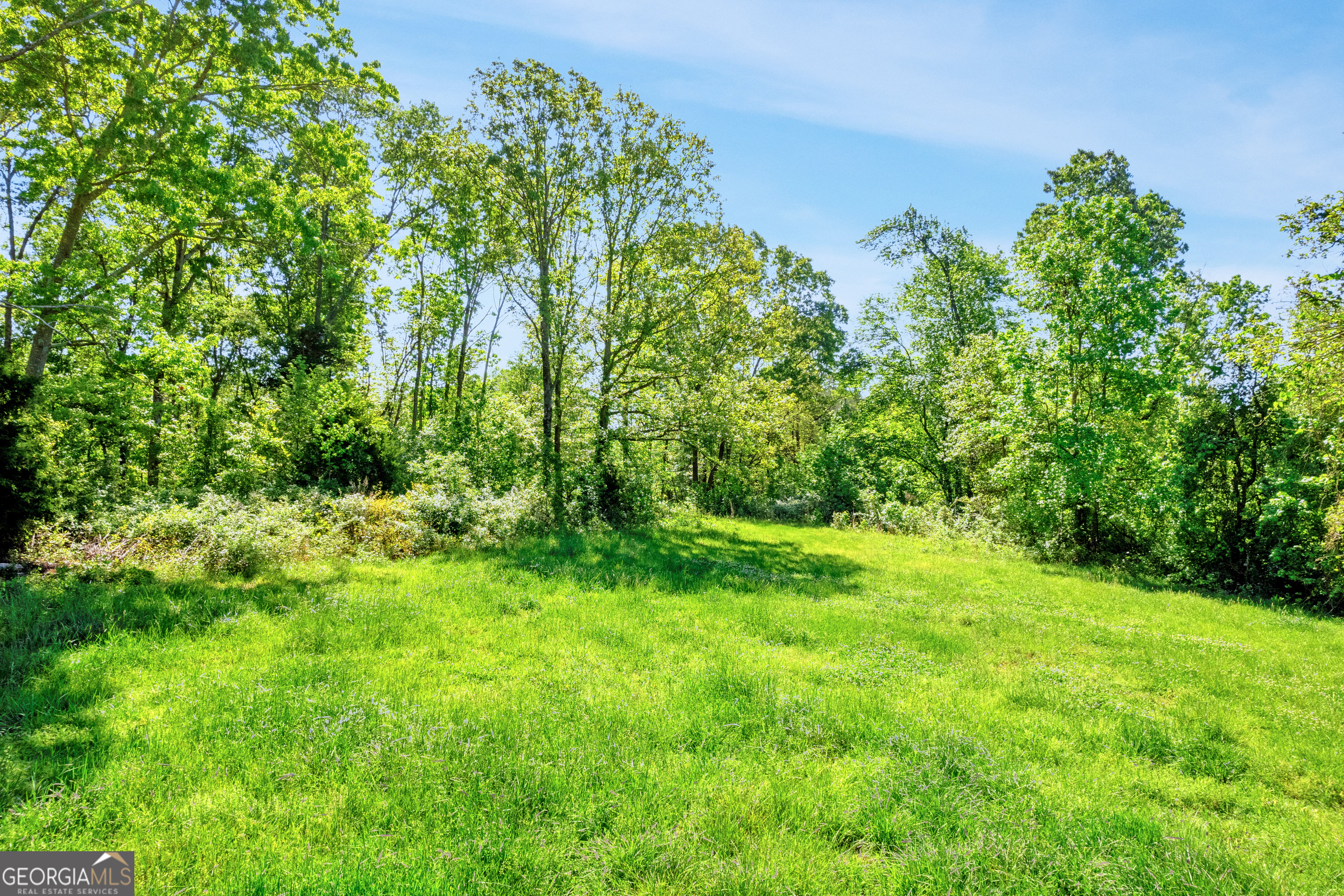 964 Gooseneck Road Toccoa, GA 30577 - Photo 3 of 31 a view of a yard with plants and a bench