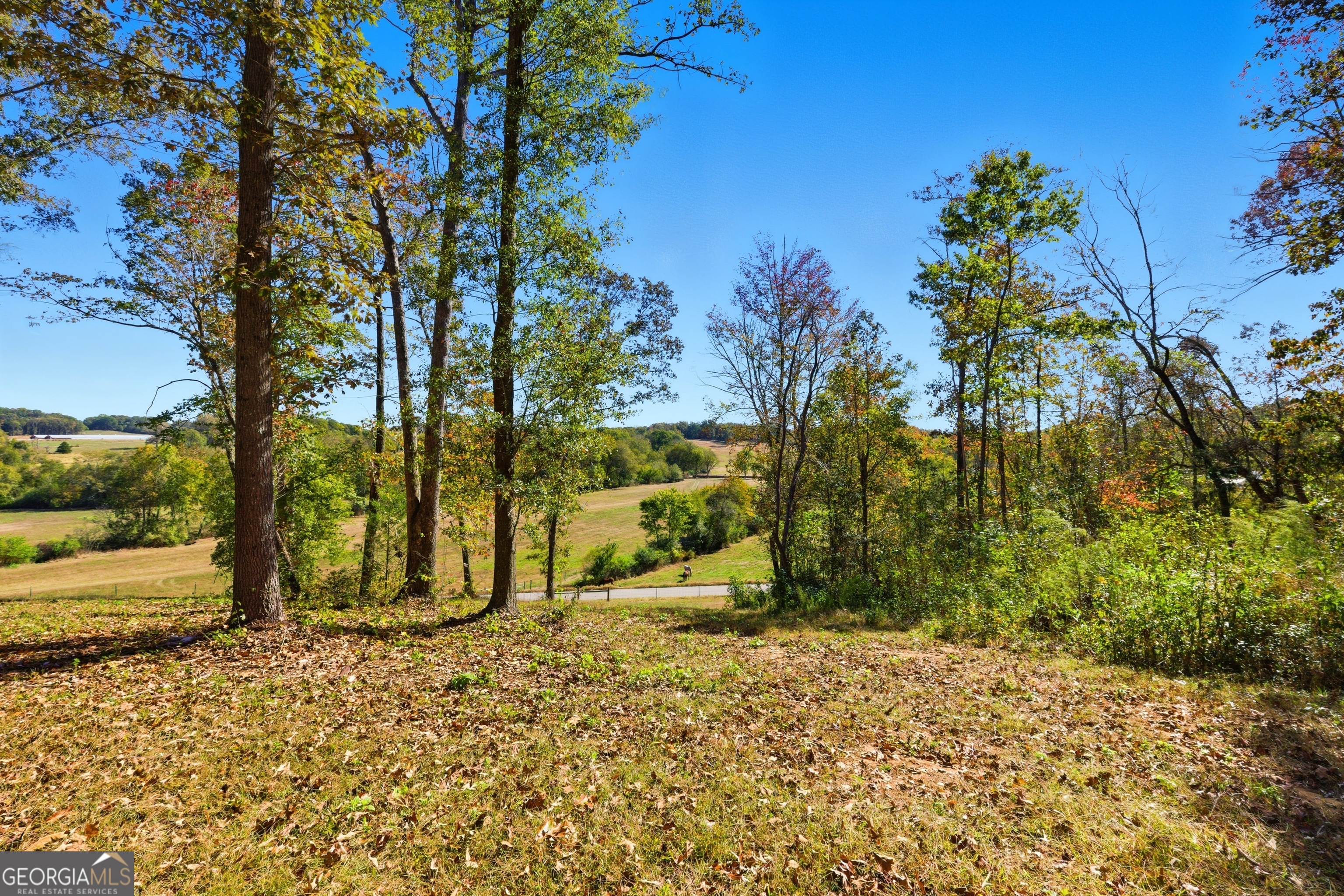 964 Gooseneck Road Toccoa, GA 30577 - Photo 31 of 31 a backyard of a house with large trees and wooden fence