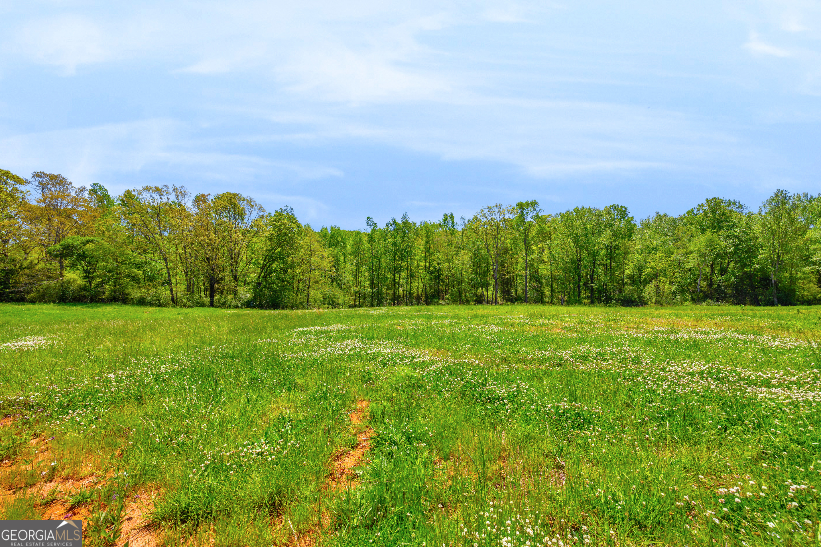 964 Gooseneck Road Toccoa, GA 30577 - Photo 8 of 31 a view of a field