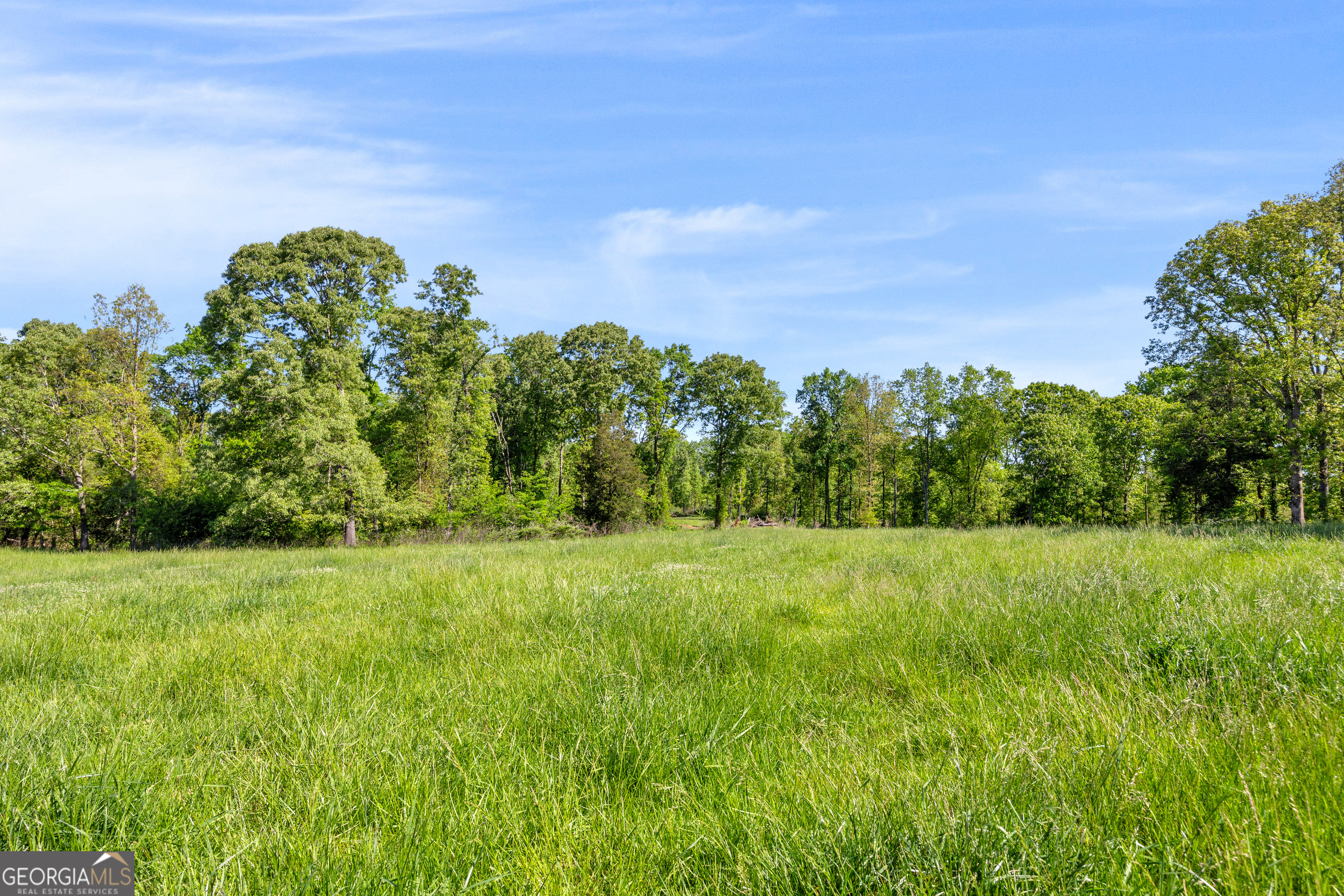964 Gooseneck Road Toccoa, GA 30577 - Photo 10 of 31 a view of a big yard with large trees