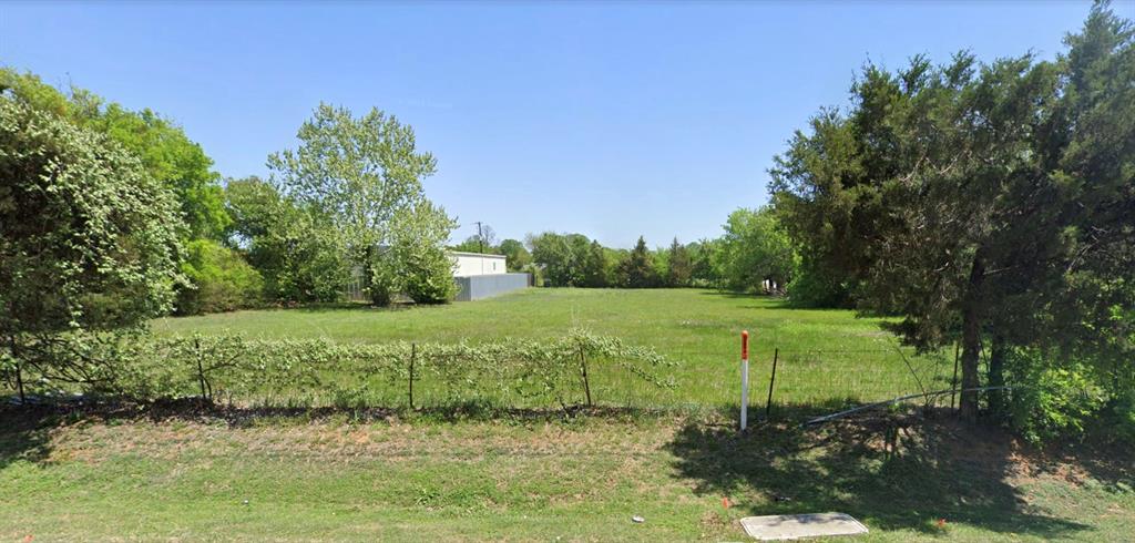 a view of a garden with a tree