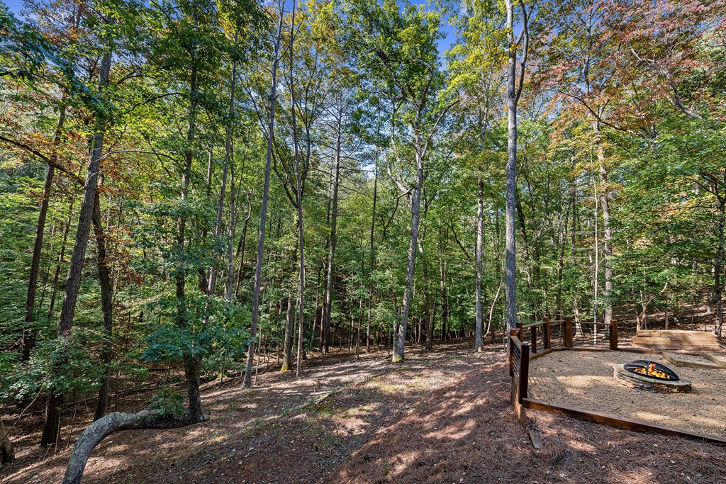 327 Armor Way North Ellijay, GA 30540 - Photo 36 of 40 Gallery Image 36