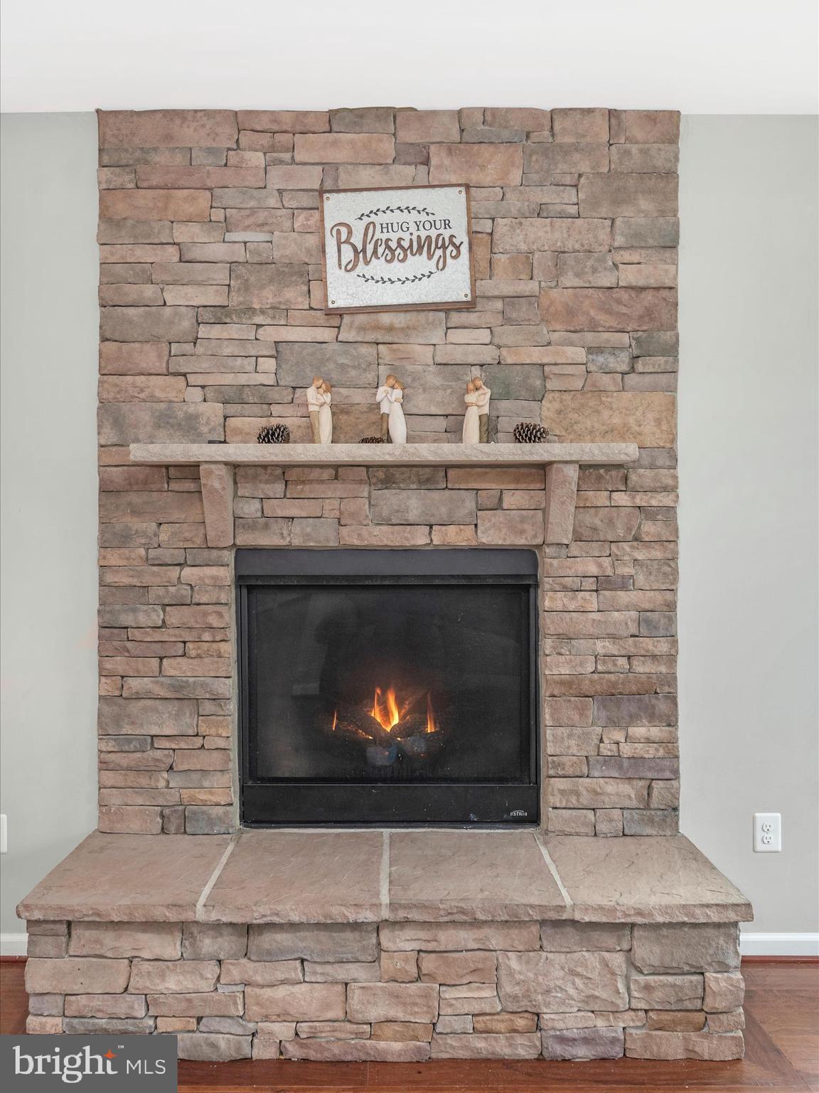 1149 Long Farm Circle Brunswick, MD 21716 - Photo 9 of 59 Fireplace