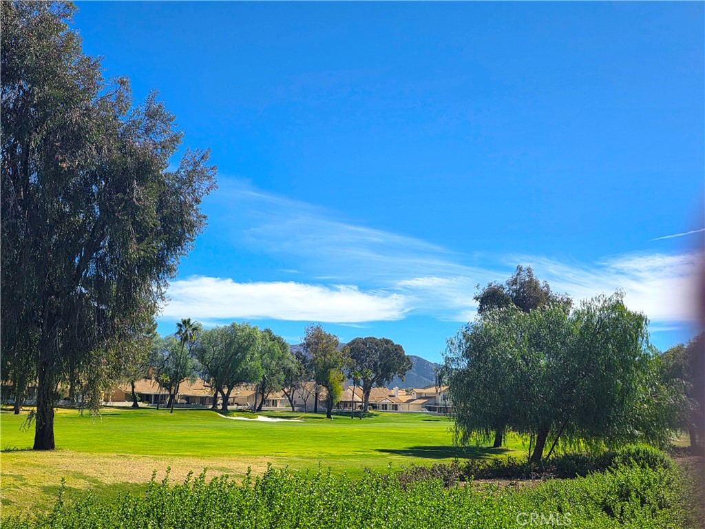 1082 Pine Valley Road Banning, CA 92220 - Photo 35 of 39 Mature Trees & Lush Greenery
