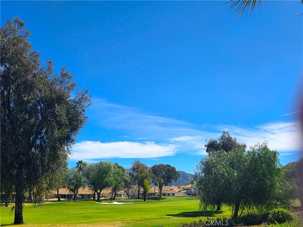 1082 Pine Valley Road Banning, CA 92220 - Photo 5 of 39 Views of Lush Greenery & Mature Trees