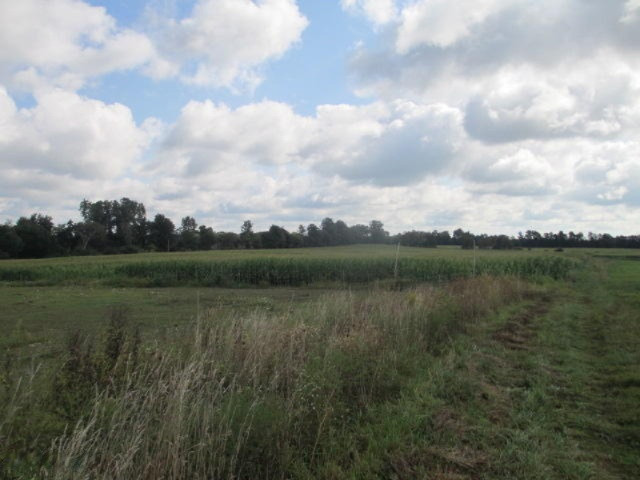 5791 Abbott Road Reading, MI 49274 - Photo 14 of 16 Rparker15