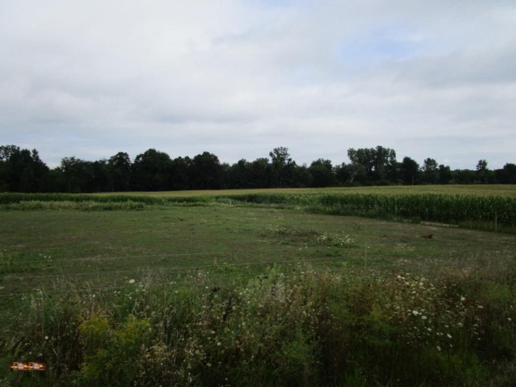 5791 Abbott Road Reading, MI 49274 - Photo 4 of 16 Rparker05