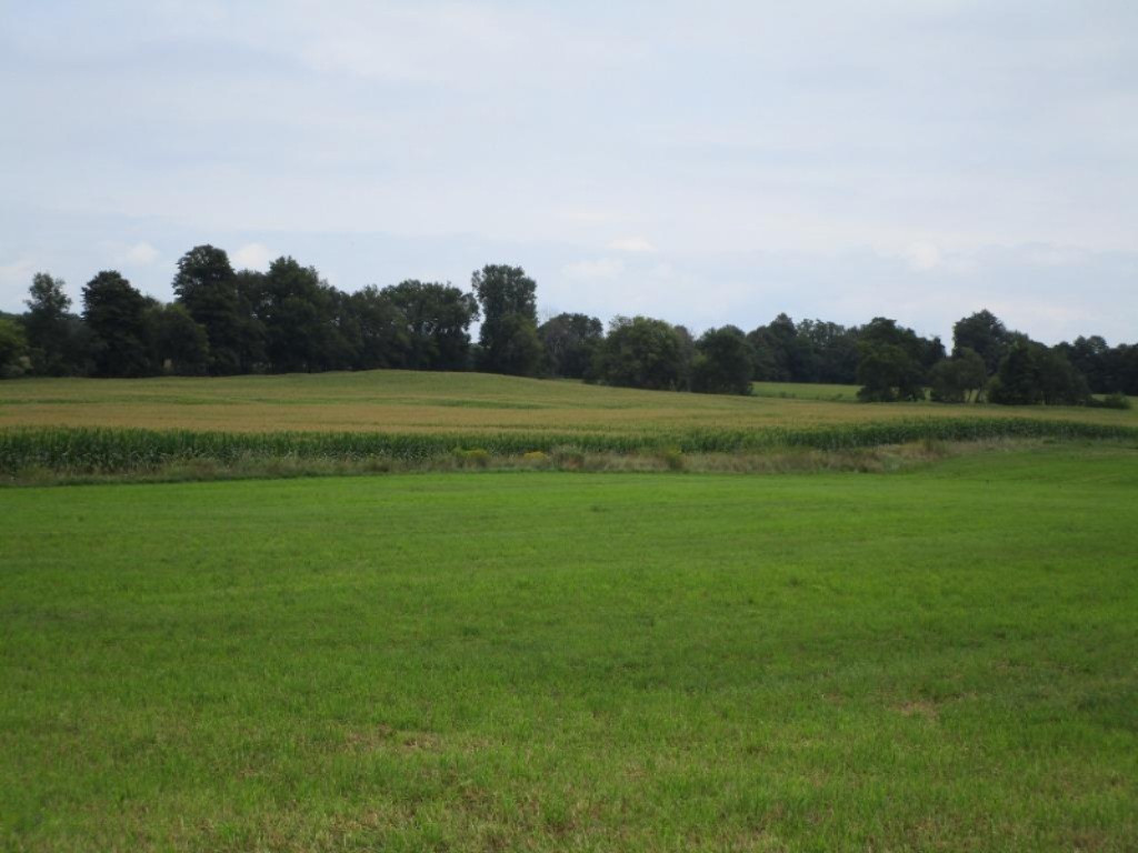 5791 Abbott Road Reading, MI 49274 - Photo 7 of 16 Rparker08