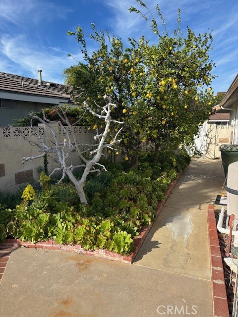 18772 Algiers Street Porter Ranch, CA 91326 - Photo 17 of 22 an outdoor view of a garden