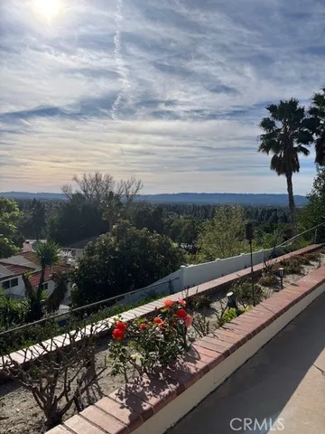 a view of a street with flower plants