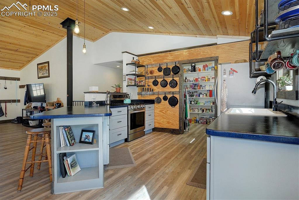 1115 Eagles Gate Road Westcliffe, CO 81252 - Photo 13 of 49 a kitchen with stainless steel appliances granite countertop a stove and a sink
