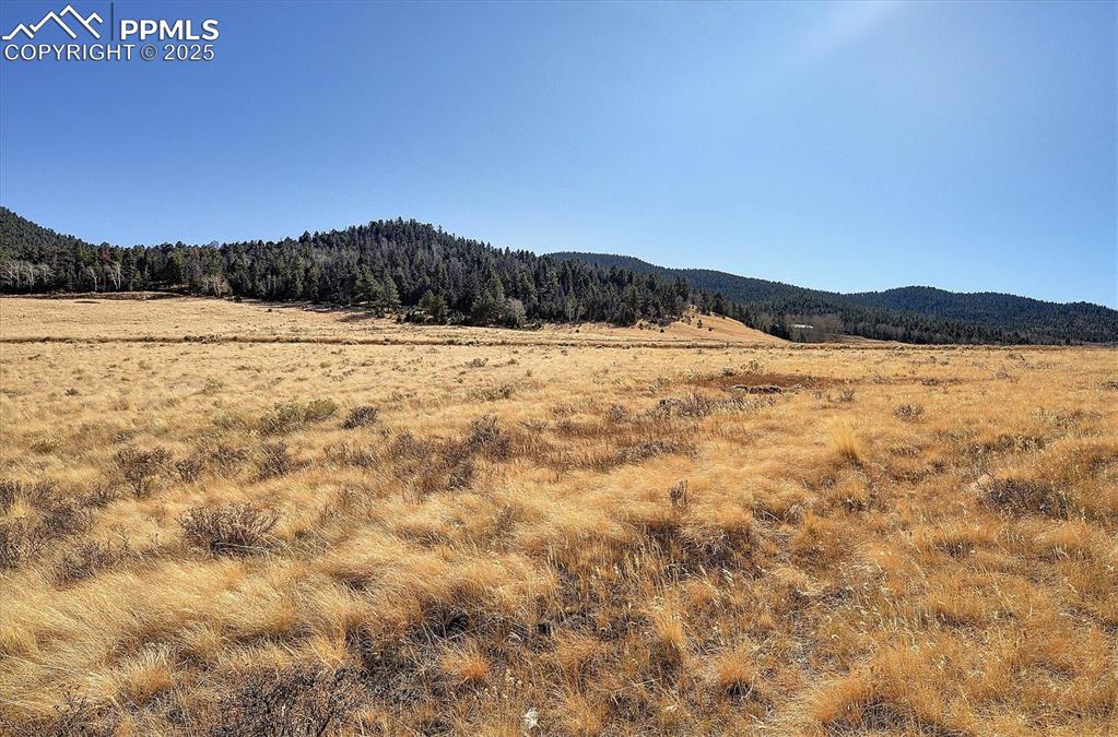 1115 Eagles Gate Road Westcliffe, CO 81252 - Photo 45 of 49 a view of lake view and mountain view