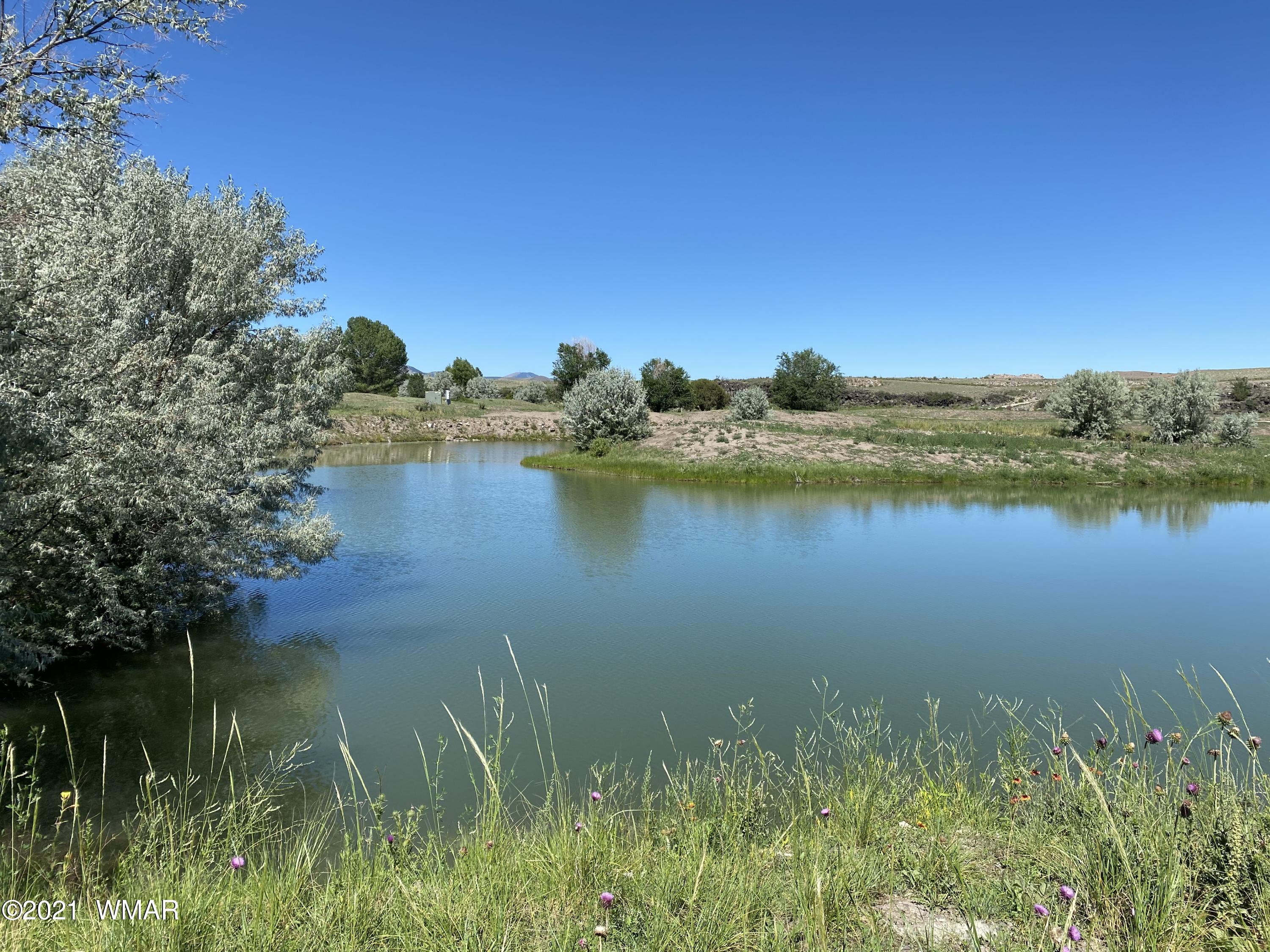 Tract C North River Road Eagar, AZ 85925 - Photo 1 of 4