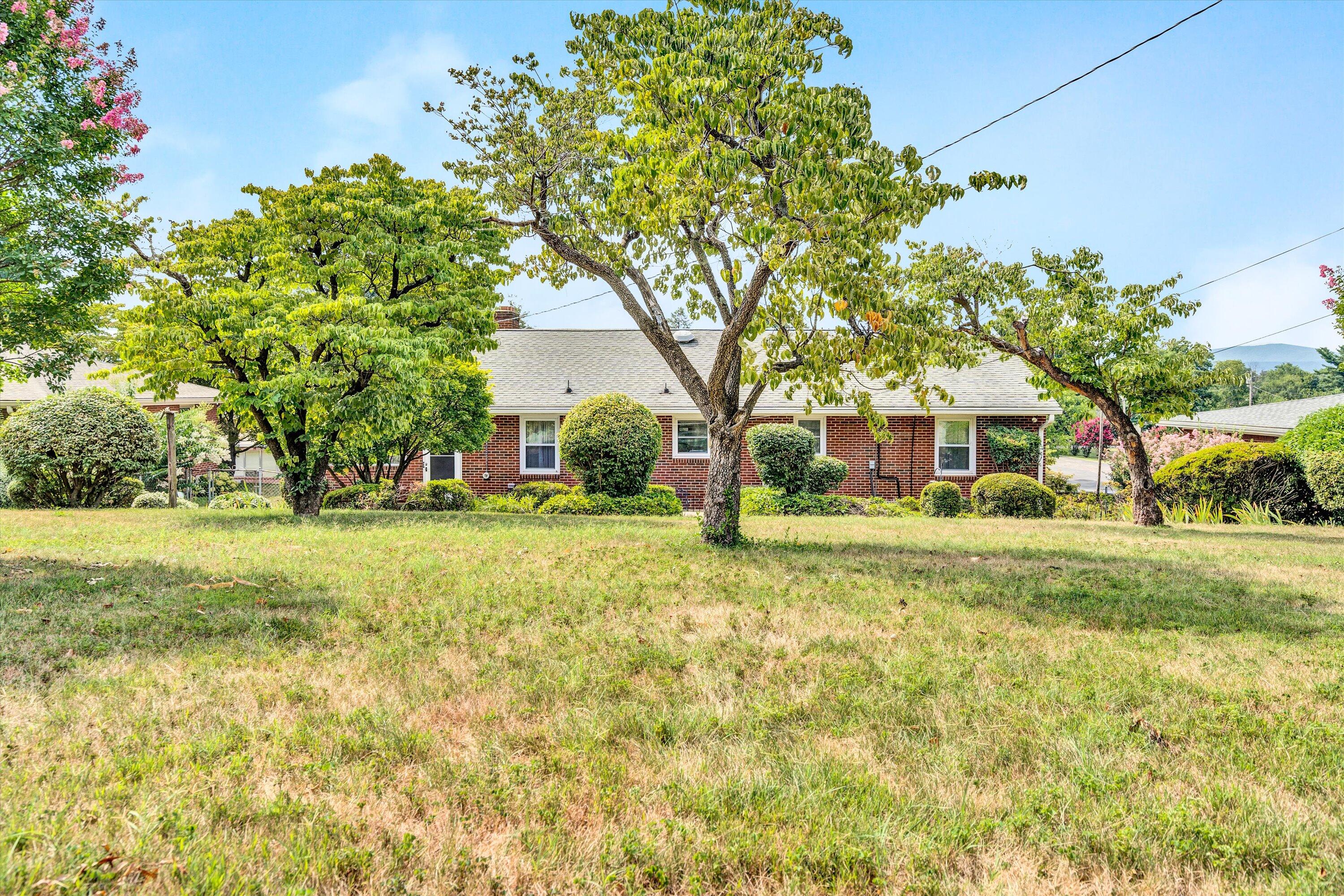 35-DSC04142