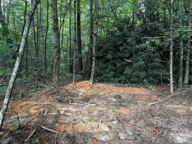1963 North Ridge Road, Unit 9&10 Hendersonville, NC 28792 - Photo 8 of 19 a view of a forest filled with trees