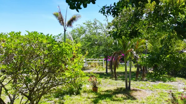 a view of a house with potted plants