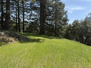 12350 Forest Service Rt 1 Road Kneeland, CA 95549 - Photo 8 of 31 Gallery Image 8