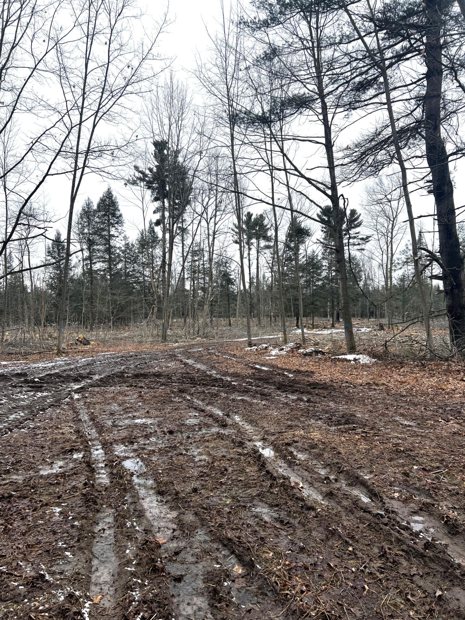 On Mount Vista Road Mosinee, WI 54455 - Photo 3 of 16