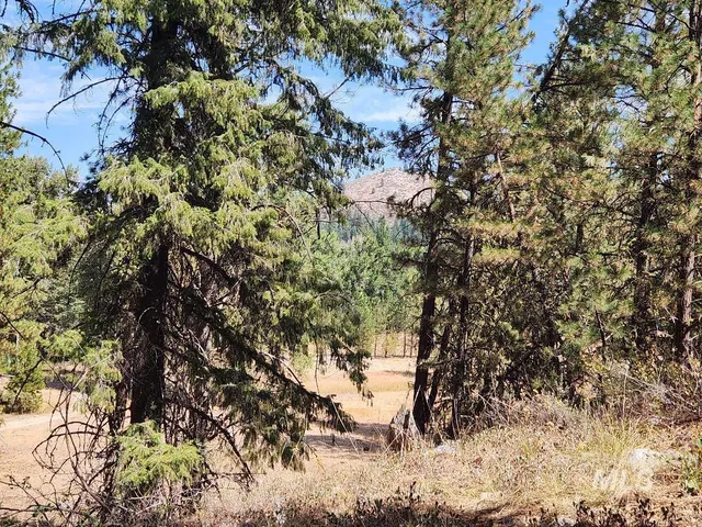 $250,000 | Tbd North Tbd N Diamond Bar Place, Mountain Home, ID 83647