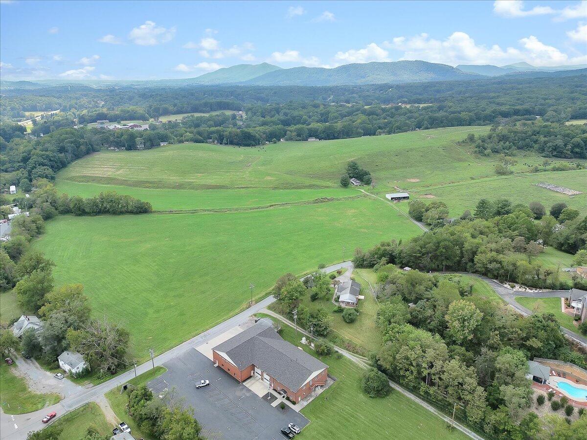1390 Blue Ridge Springs Road Blue Ridge, VA 24064 - Photo 5 of 54 an aerial view of green landscape with trees houses and mountain view