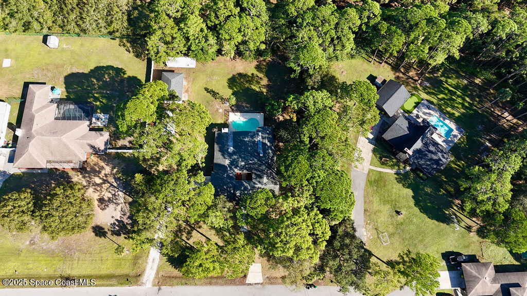 2524 Trotters Trail Cocoa, FL 32926 - Photo 45 of 46 a picture of flowers